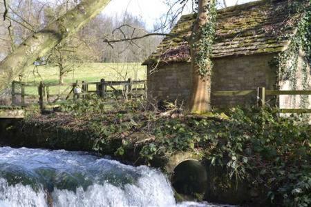 Swan Cottage Cirencester Dış mekan fotoğraf